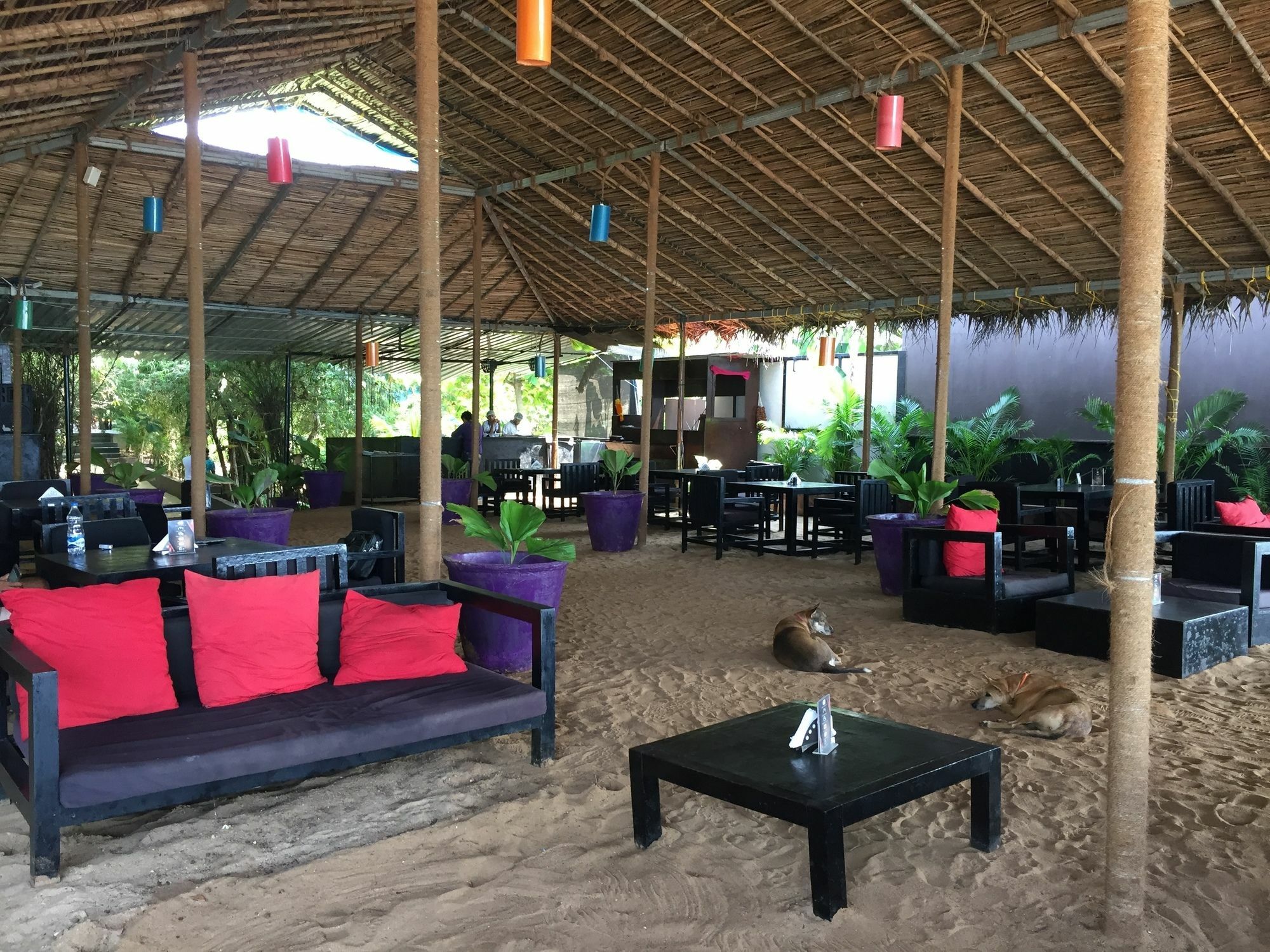 H2O Resort Агонда Экстерьер фото